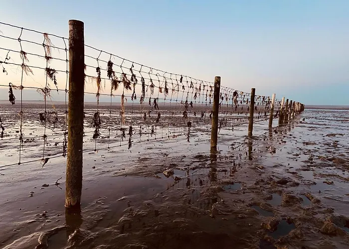 아파트 Ferien Im Wangerland Insel Minsen Hund Pool Sauna